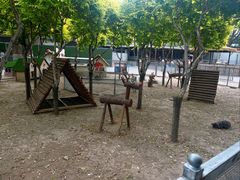 -保定市动物园