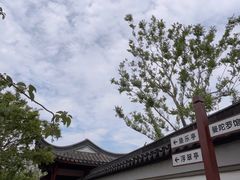-上海滨江森林公园