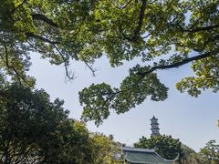 -江心屿景区