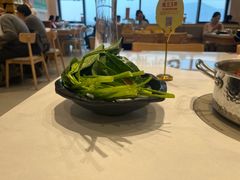 -呷哺呷哺 黄金牧场 (中发百旺店)