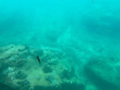 -亚龙湾海底世界