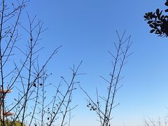 -大理实力希尔顿酒店•香全日制餐厅
