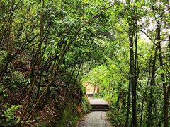-鄣山大峡谷