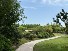 -上海长兴岛郊野公园