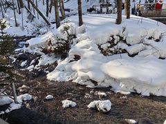 -峡谷浮石林景区