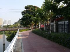 -金鸡岭桥头公园