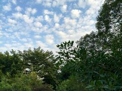 -小洲村