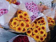 -循礼门鲜花花市(武汉循礼门店)