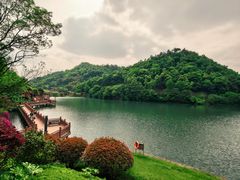 -桃花岭景区