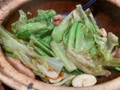 -大鸽饭(体育西路店)