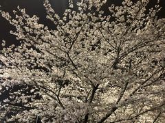 -同济大学四平路校区游泳馆