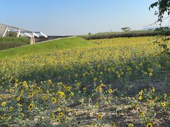 -下渚湖国家湿地公园科普馆