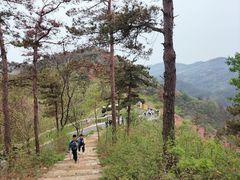 -木兰云雾山