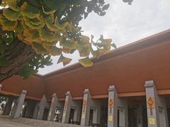 -法门文化景区