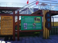 -黑瞎子岛探秘野熊园