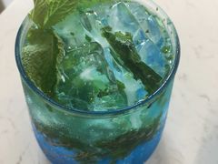 -飞行喵MR PILOT|猫舍·猫咖(静安大融城店)