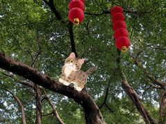 -荔湾湖公园