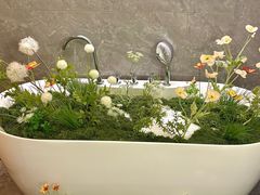 -小仙女采耳·按摩·SPA(深圳旗舰店)