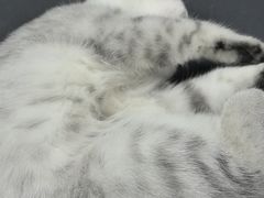 -无趣桌游狼人杀店
