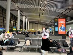 -常州奔牛国际机场