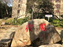-武汉大学-樱园