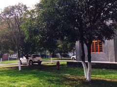 -四川农业大学(雅安校区)