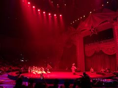 -珠海横琴长隆《卡卡虎奇遇记》