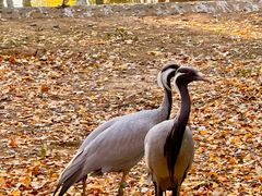 -艾溪湖湿地公园