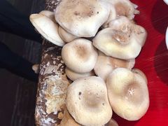 -谭鸭血老火锅(漳州路店)