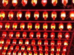 -亭林园-华藏寺