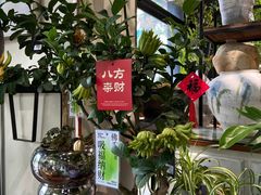 -弗劳尔花艺坊(龙涛店)