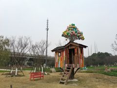 -秀丽东方