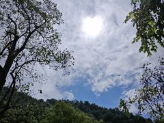 -黔灵山公园