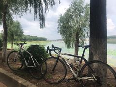 -丁香湖公园