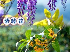-李宁体育园