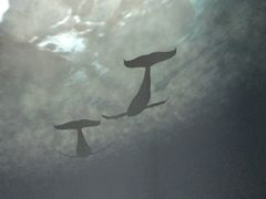 -苏州青少年科技馆