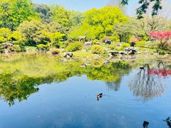 -杭州植物园