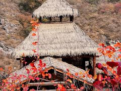 -周口店坡峰岭风景区