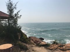 -广东惠东海龟国家级自然保护区