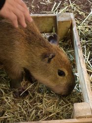 -Zoolung Zoolung动物主题公园(海信广场店)