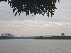 -东莞松山湖凯悦酒店