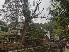 -雅安上里古镇