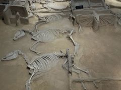 -洛阳周王城天子驾六博物馆