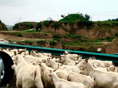-北京灵山风景区