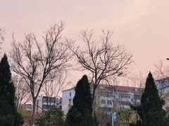 -绿岛公园(滨海新区)
