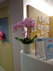 -杭州贝瑞斯美华妇儿医院·早孕·产检·儿科