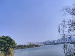 -立新湖公园