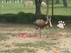 -西安秦岭野生动物园