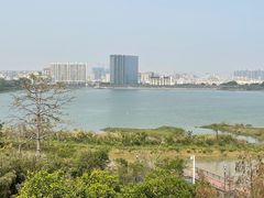 -立新湖公园