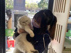 -爱侣宠医·鹦鹉专科·小型哺乳类·异宠专科(灵石路店)